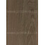 Plastové palubky Prostavbu Nordica Decor P565 /16,5 cm/ - 3004 fólie WOODEC Turner Oak Toffee